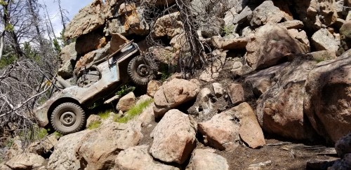 20180720_134949.jpg