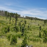 20180720_142453