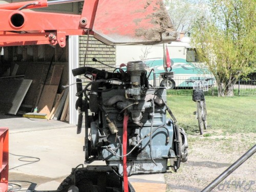 2011-05-22-058.jpg